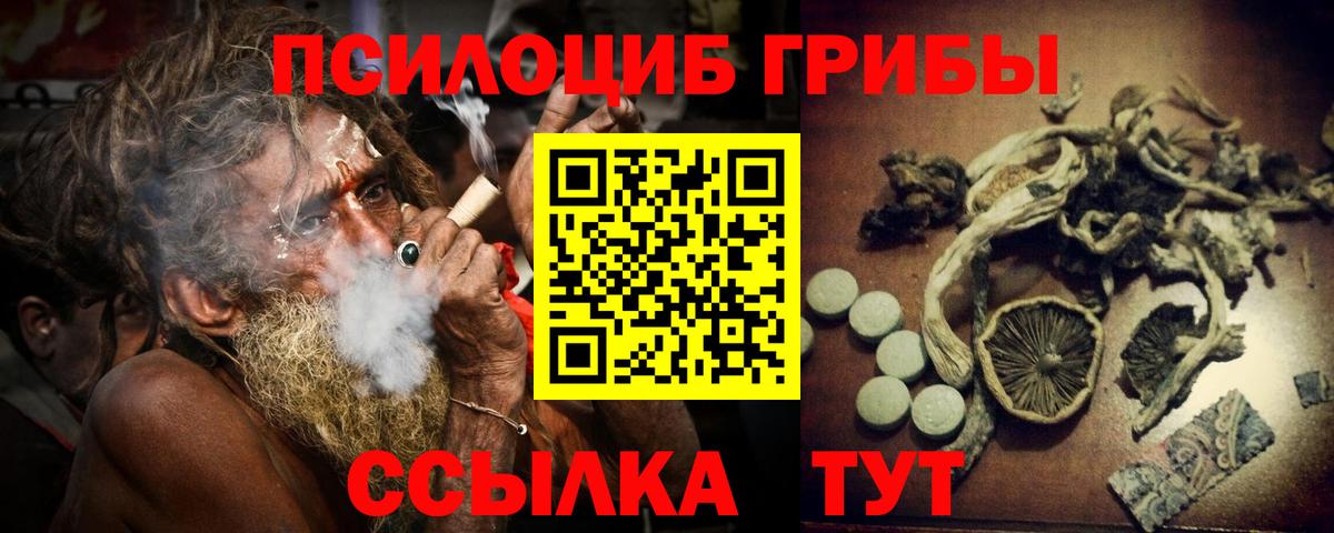 Тверь  Псилоцибиновые грибы Cubensis  Вход с VPN 