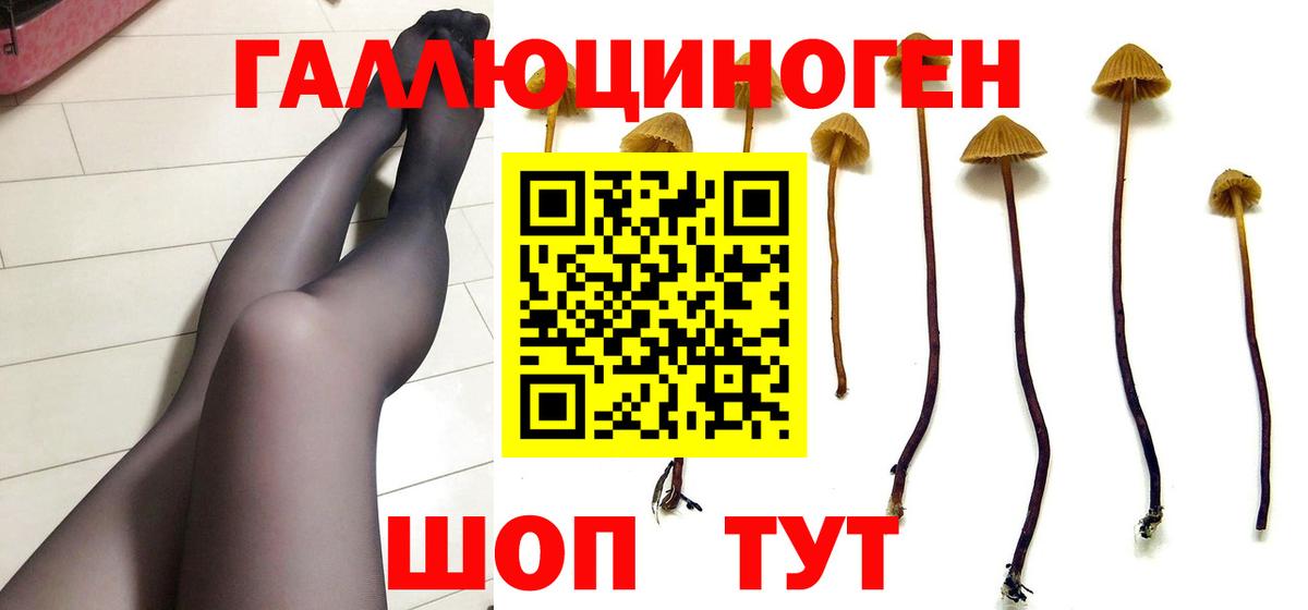 Галлюциногенные грибы GOLDEN TEACHER Тверь